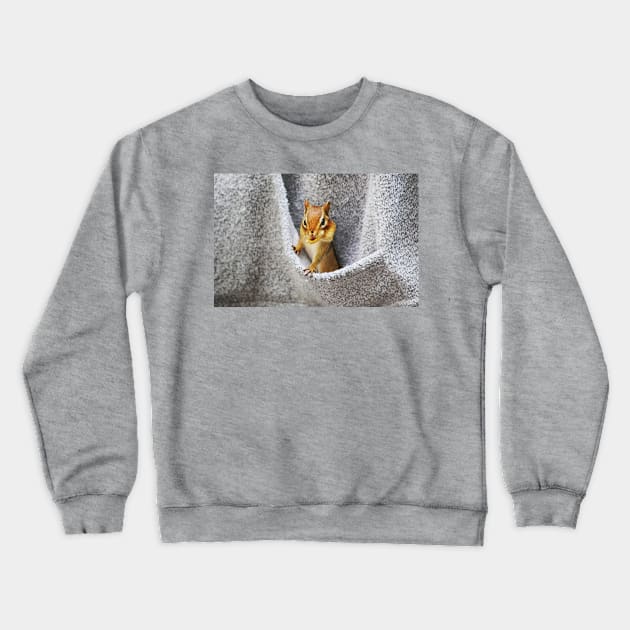 L'il Pickpocket #2 Crewneck Sweatshirt by LaurieMinor